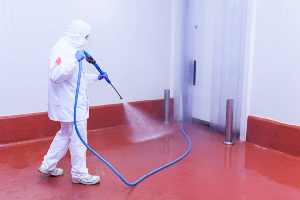 Best Dumpster Area Cleaning  in Fish Hawk, FL